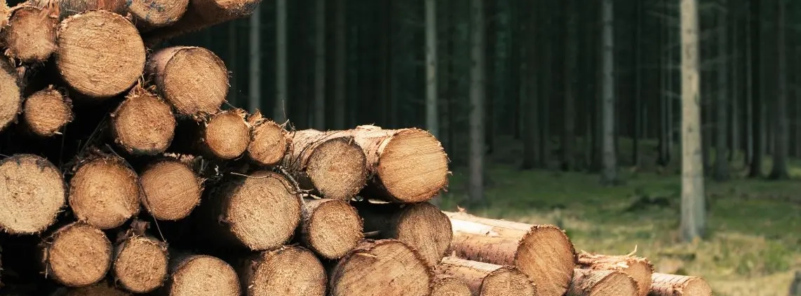 First aid at work (forestry) c